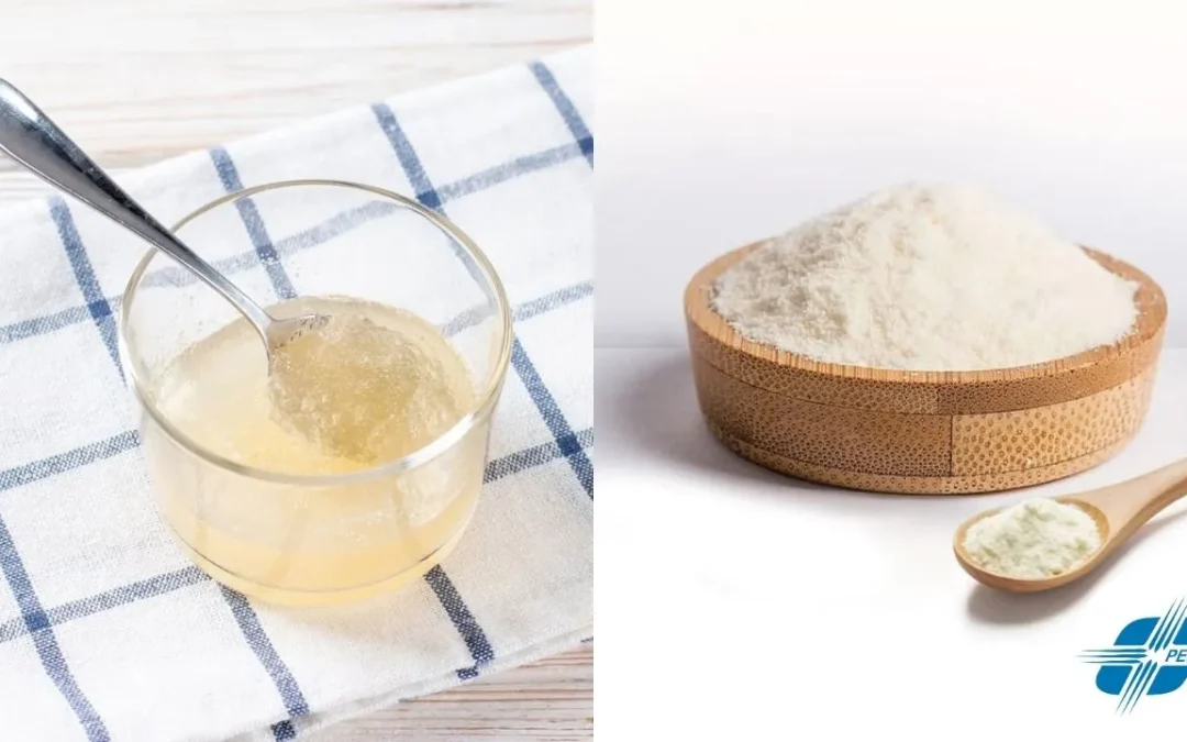 ¿El Colágeno Hidrolizado es igual a la gelatina sin sabor?