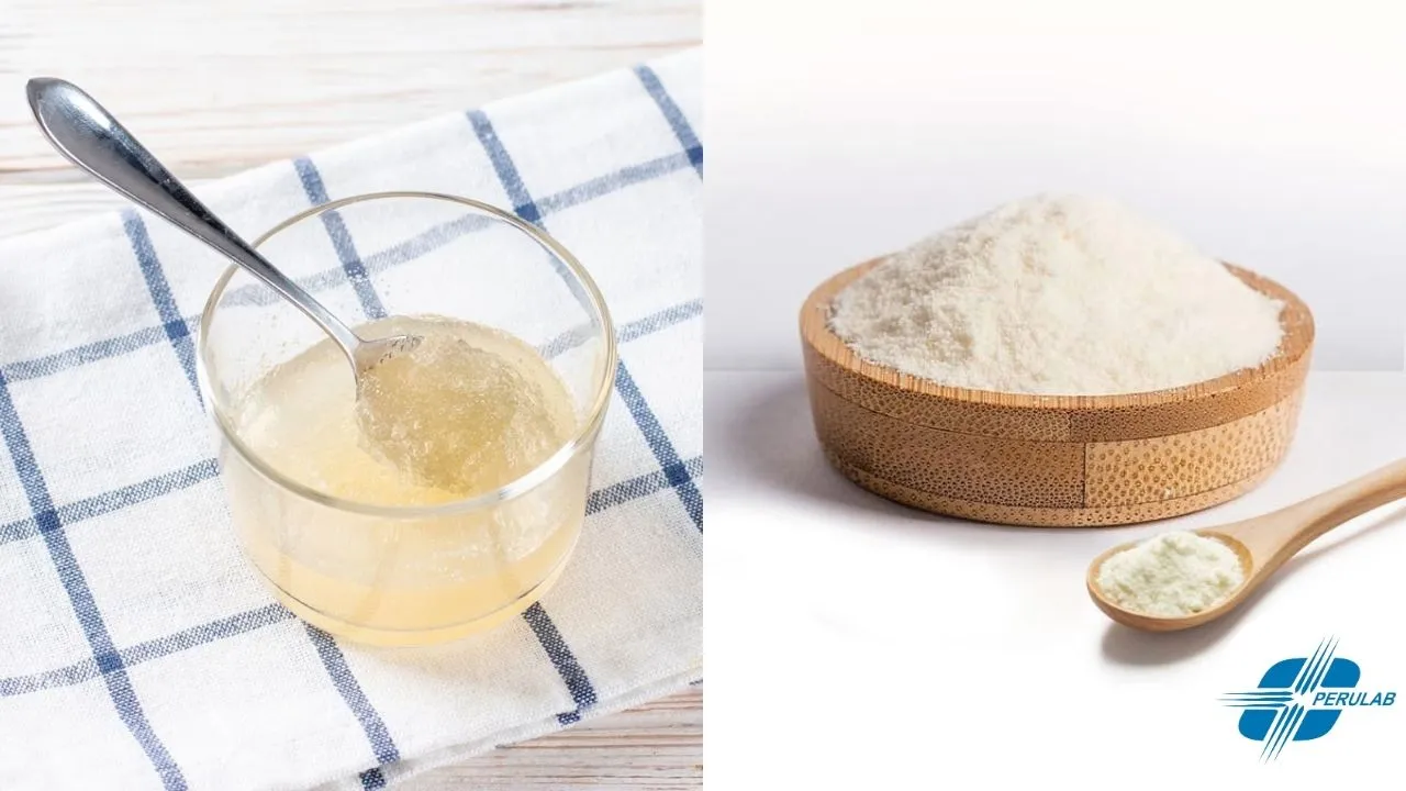 ¿El Colágeno Hidrolizado es igual a la gelatina sin sabor?