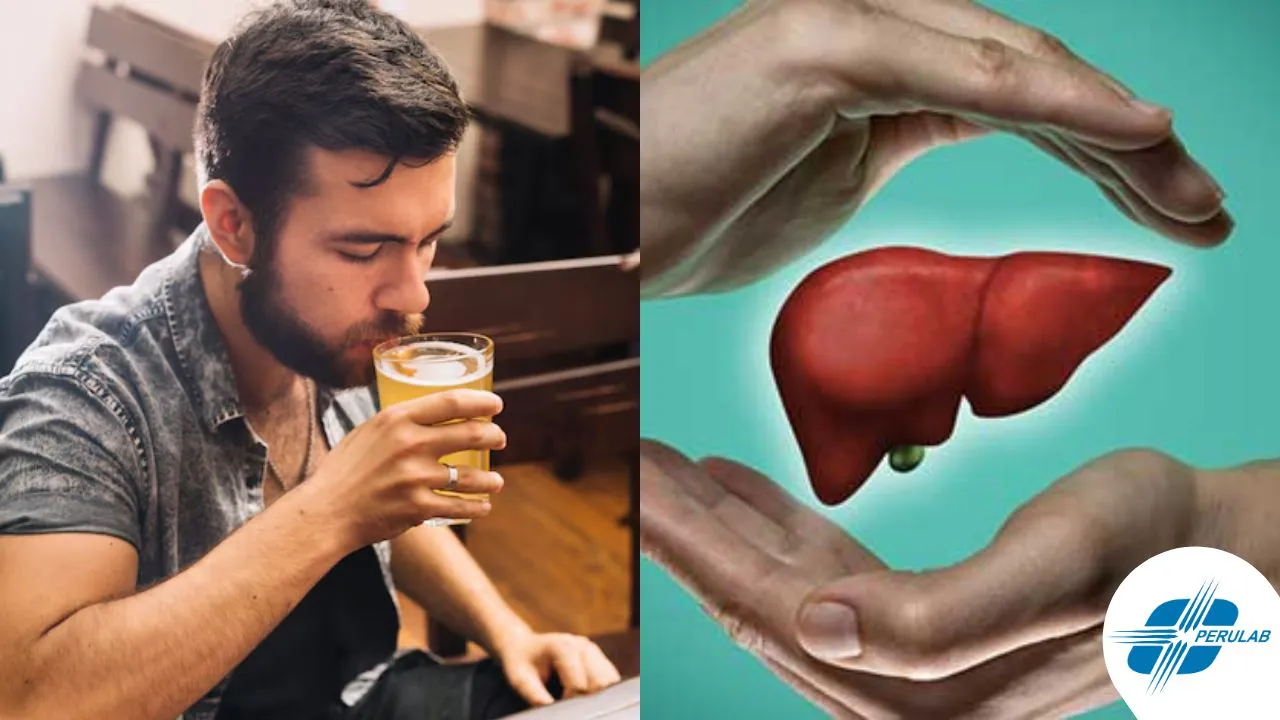Qué pasa con mi hígado cuando dejo beber alcohol
